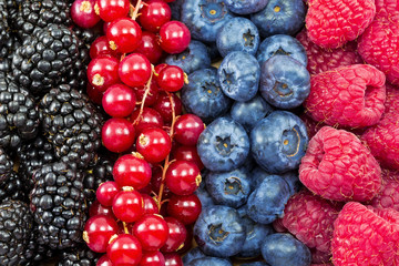different fresh berries as background