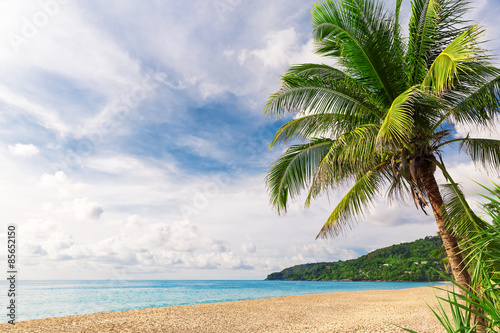 Tropical white sand with palm tree on the beach Phuket. Thailand
