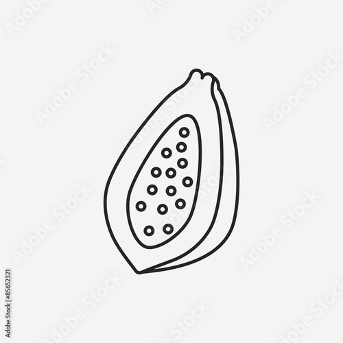 fruits papaya line icon