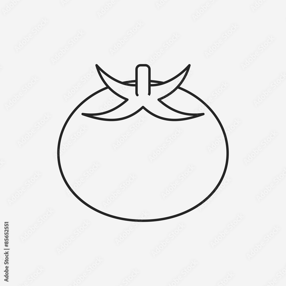 fruits tomato line icon