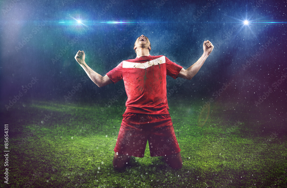 Victorious Soccer Player - obrazy, fototapety, plakaty 