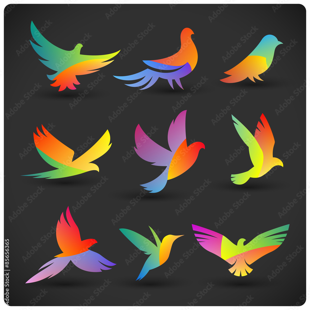 Set of colorful flying birds logo elements. Rainbow silhouettes on dark.
