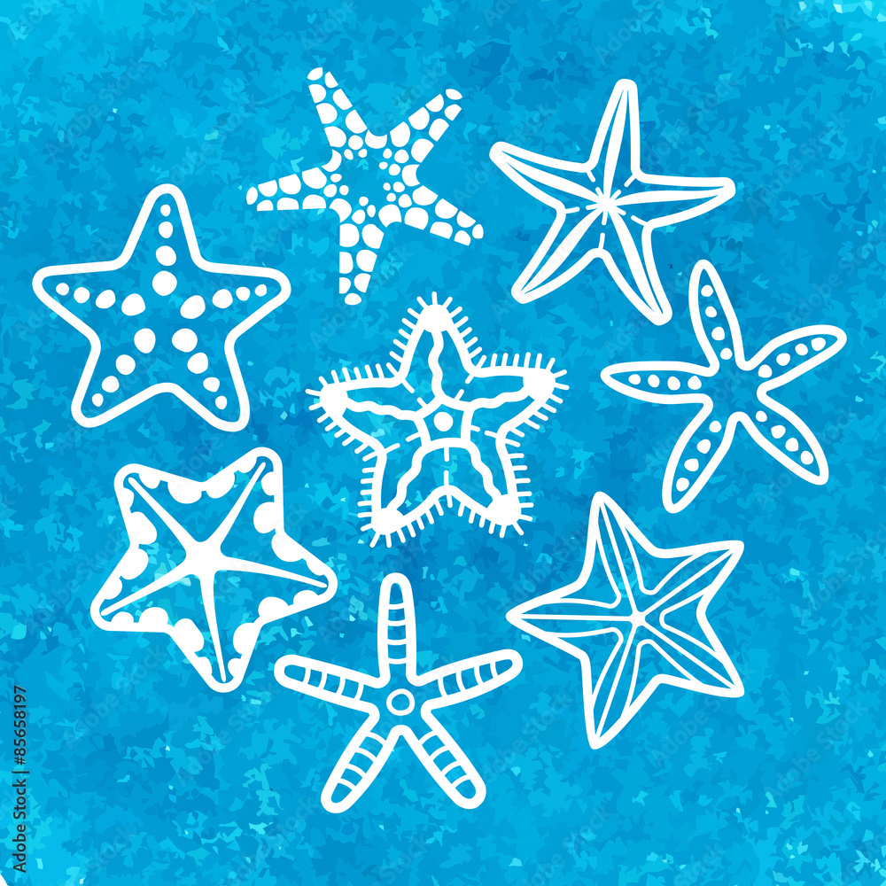 Vector collection of various sea starfish