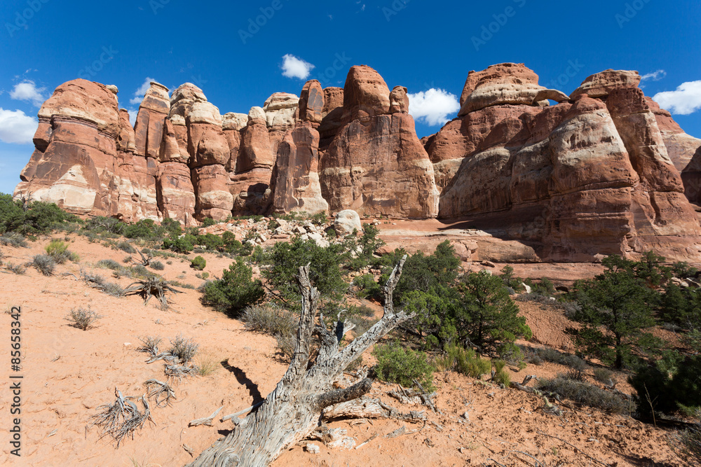 Fototapeta premium Canyonlands Nationalpark