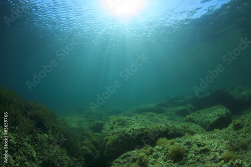 Underwater landscape © Richard Carey