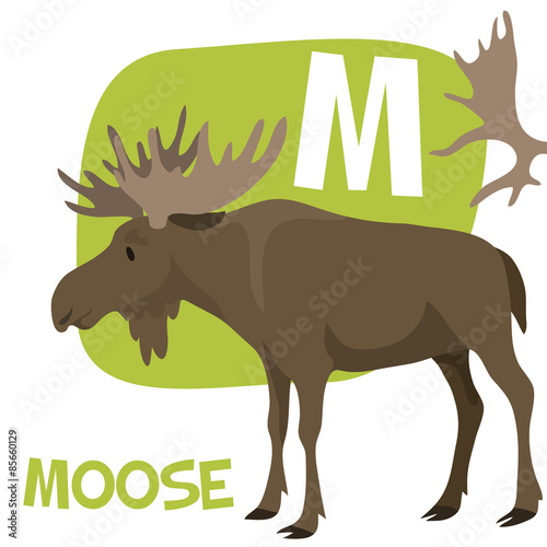 Funny cartoon animals vector alphabet letter set for kids. M is