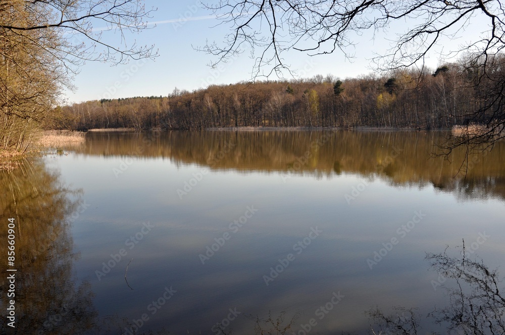 Mühlteich in Schmannewitz Mühlteich in Schmannewitz