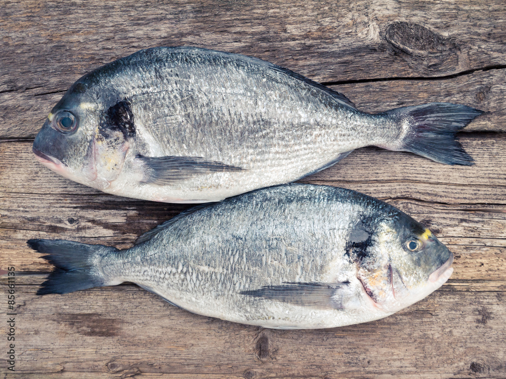 Two dorado fishes on the wooden background Two dorado fishes on the wooden background