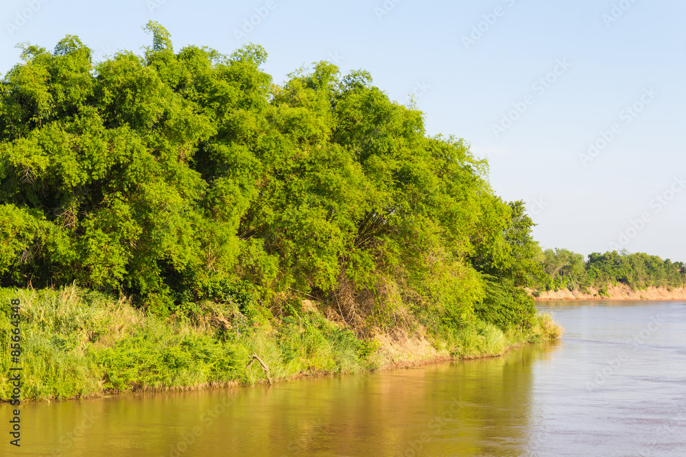 Bamboo river island Bamboo river island