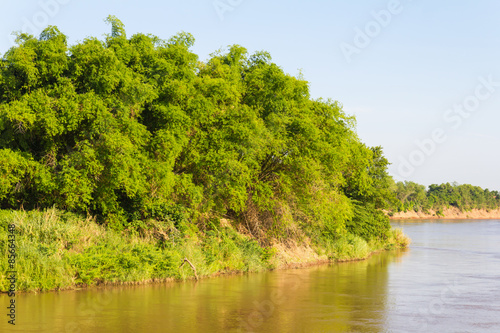 Bamboo river island