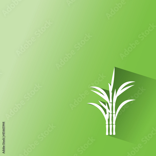 sugar cane on green background