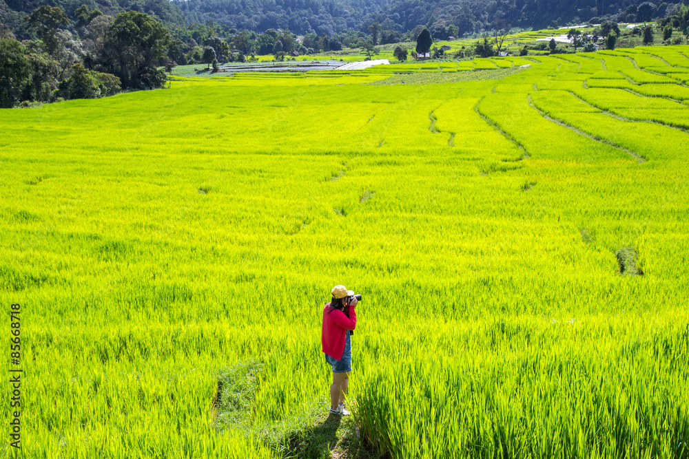 Asian women take a photo green terraced rice field in Mae Klang Luang , Mae Chaem, Chiang Mai, Thailand