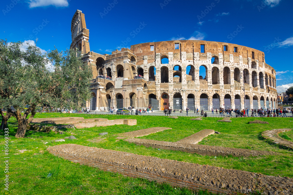 Colosseum with grass and olive tree, Rome, Italy