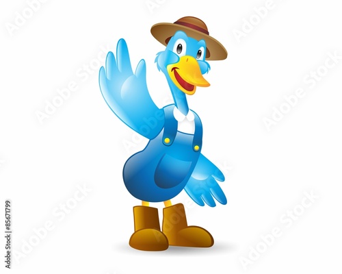 blue duck