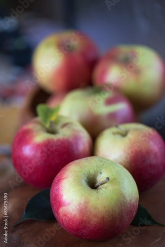 harvest of apples