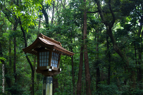 Japanese lanterns in the forest.