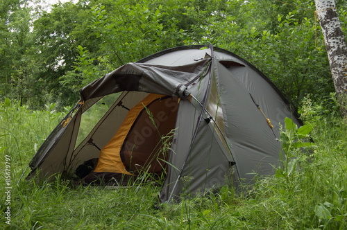 Tourist tent in spring forest.