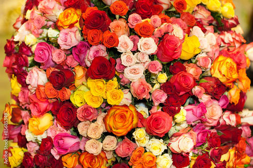 Fototapeta Naklejka Na Ścianę i Meble -  beautiful bouquet of multicolored roses