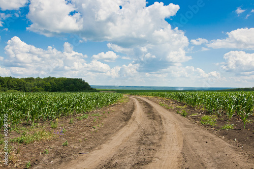 field road