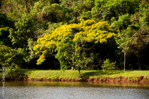 Parco Arthur Thomas, Londrina, Paraná