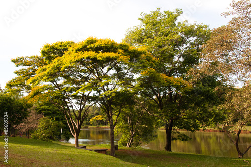 Parco Arthur Thomas, Londrina, Paraná