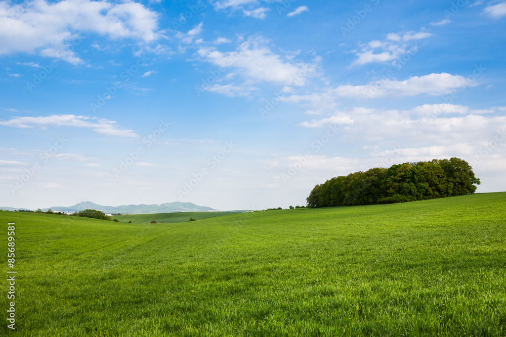 Spring agricultural landscape