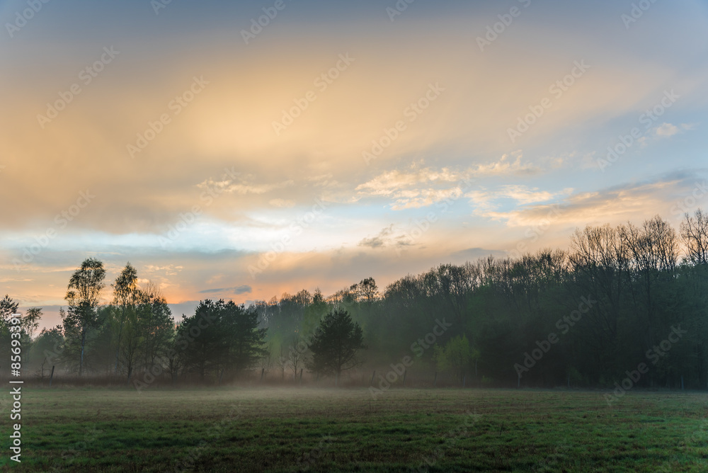 Fototapeta premium Beautiful misty evening
