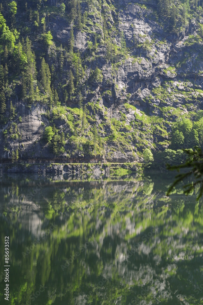 Alpine lake Gosausee, Austria