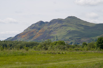 Fotobehang Heuvel Ochil Hills landschap in Schotland  © Hugh O'Neill