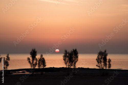 Young trees at the sea shore in early sunrise © JonikFoto.pl
