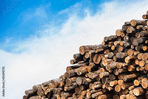 Pile of Raw Wood Logs