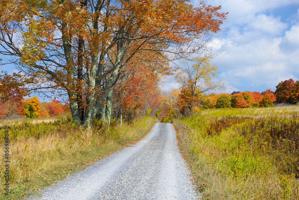 Country Road in Autumn in West Virginia