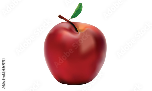 apple high quality vector design