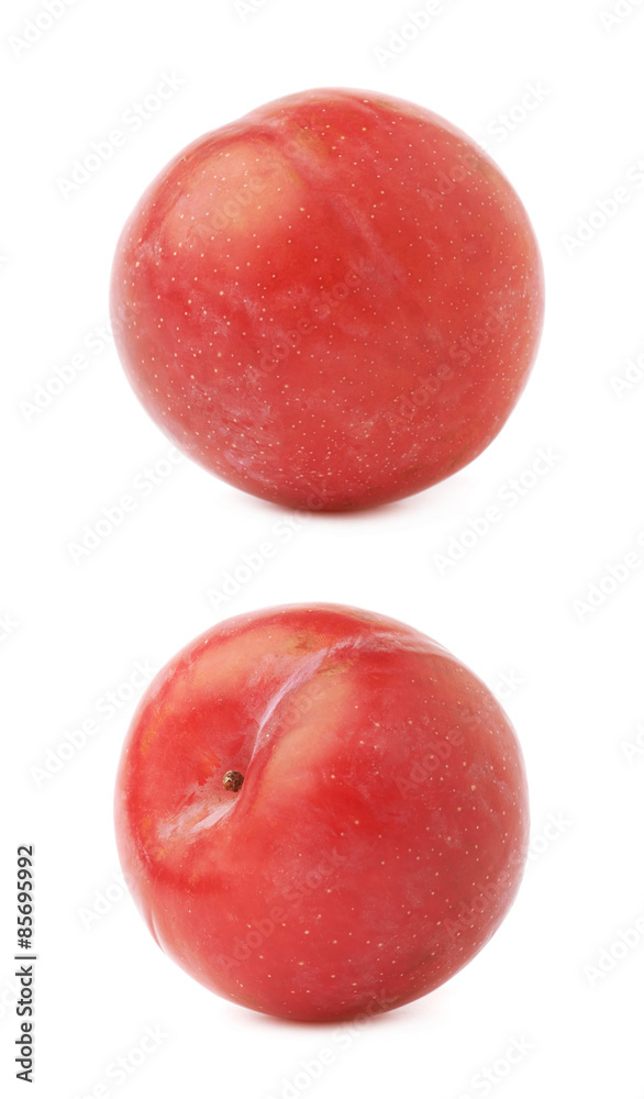 Single red victoria plum isolated