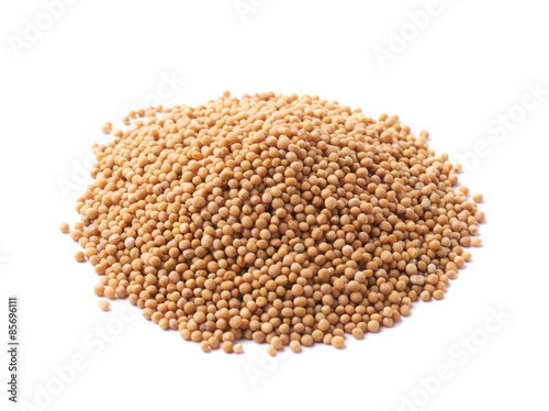 Pile of brown mustard seeds isolated