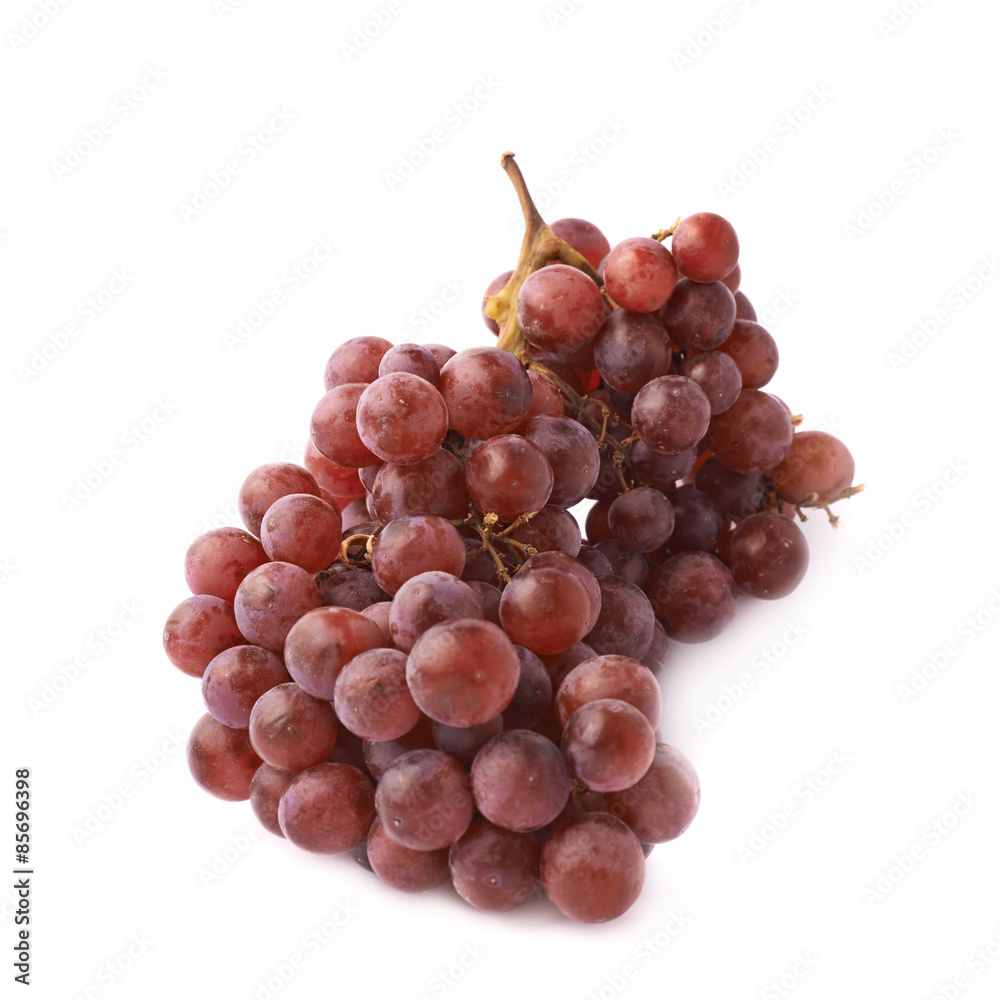 Fototapeta premium Branch of the dark grape isolated