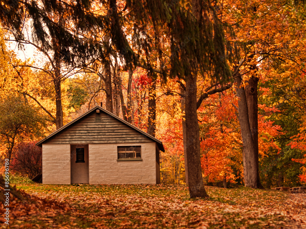 building in autumn woods building in autumn woods
