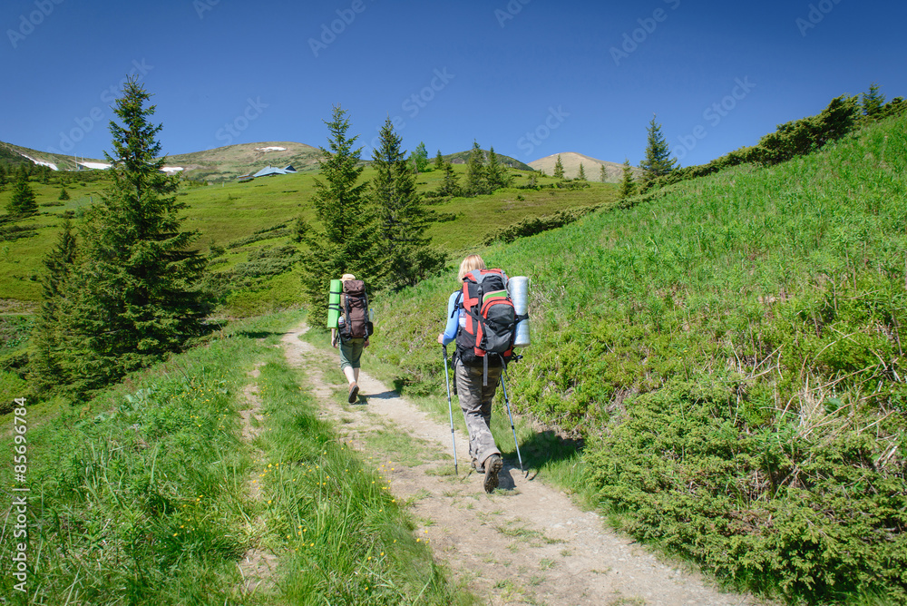 Hiking with sticks in Carpathian mountains