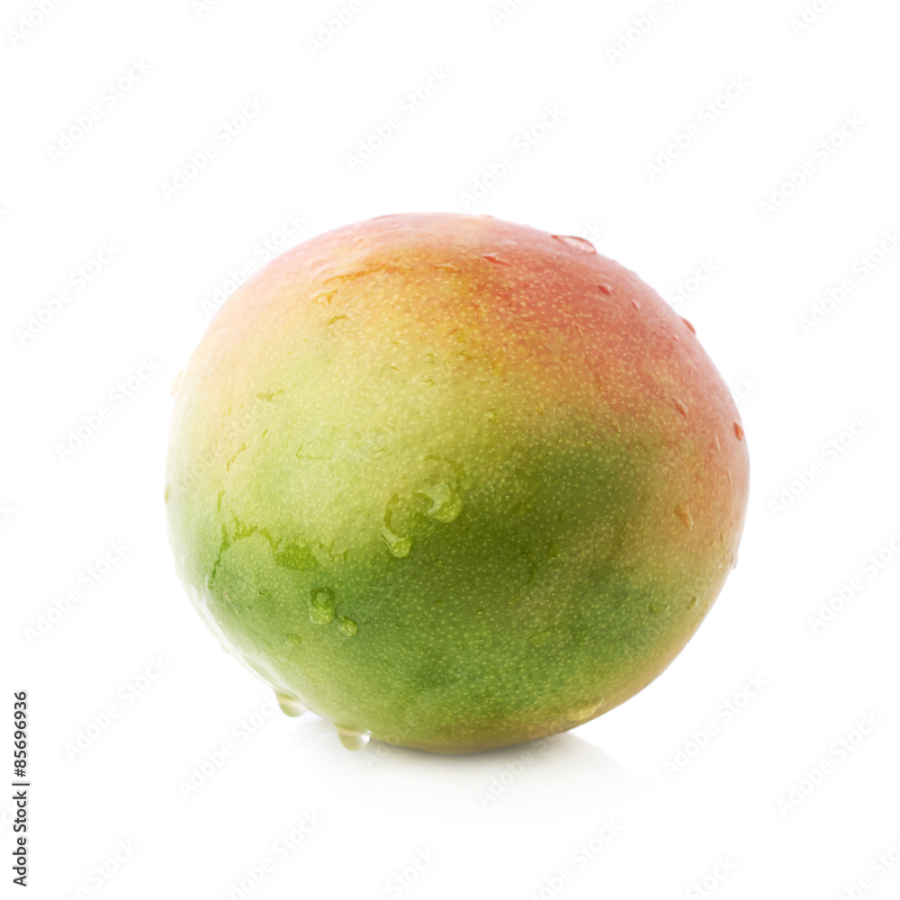 Fototapeta premium Single mango fruit isolated