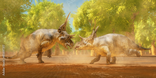 Bilde på lerret Diabloceratops Dinosaur Fight