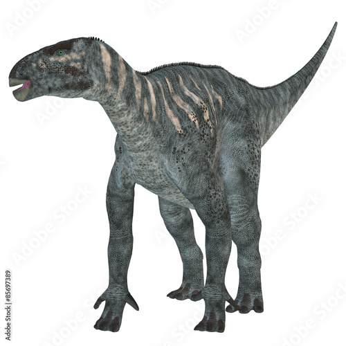 Iguanodon Herbivore Dinosaur © Catmando