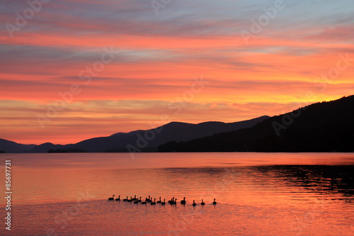 A family of ducks swims toward sunrise on Lake George, NY in the Adirondack State Park. The mountains are silhouetted, as are the ducks The sky is pink and the water reflects the sky and mountains. photo