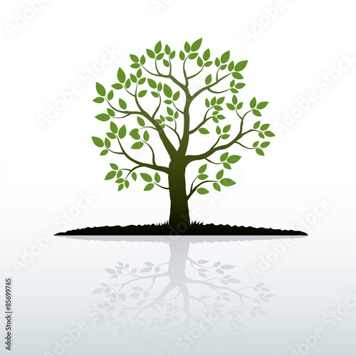 Illustration of Color Tree