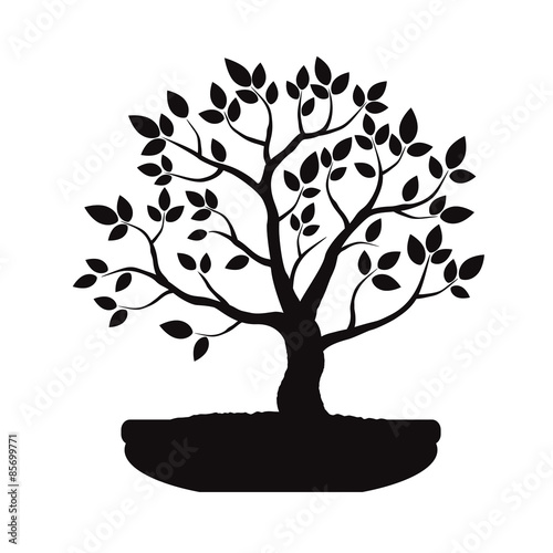 Black Bonsai Tree. Illustration.