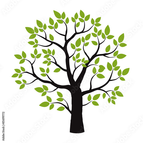 Black Treeand Green Leafs. Vector Illustration.