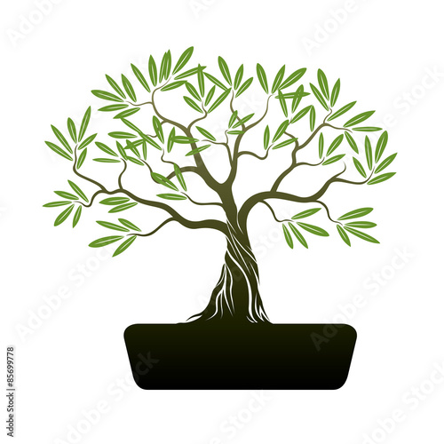 Bonsai Olive Tree. Illustration.