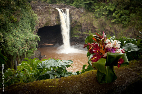 Hawaiian Offering at Waterfall