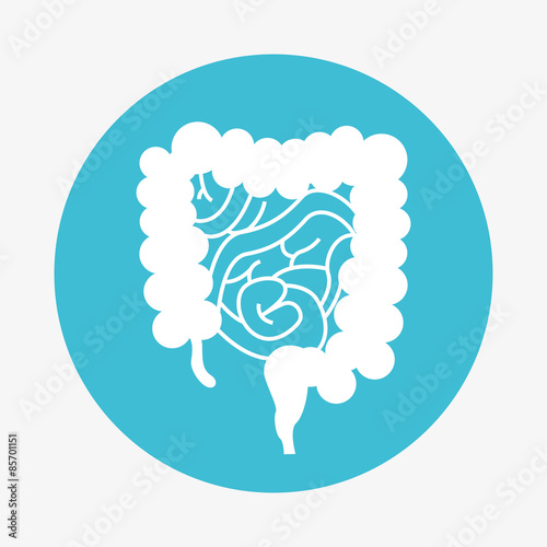 organ human icon