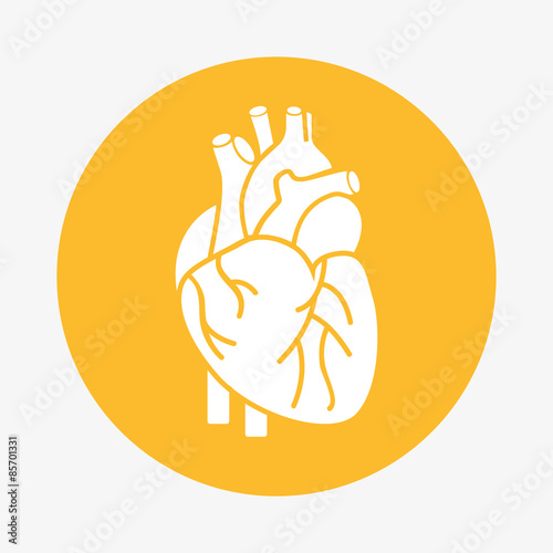 organ human icon