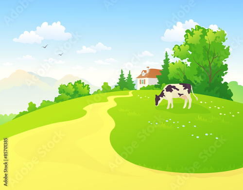 Summer rural scene